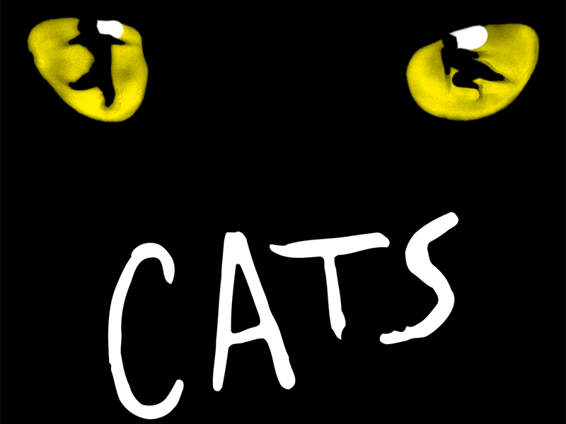 Cats the Musical | Theatre Review