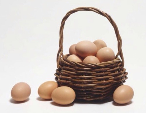 LOVE || Don’t Put All Your Eggs In One Basket
