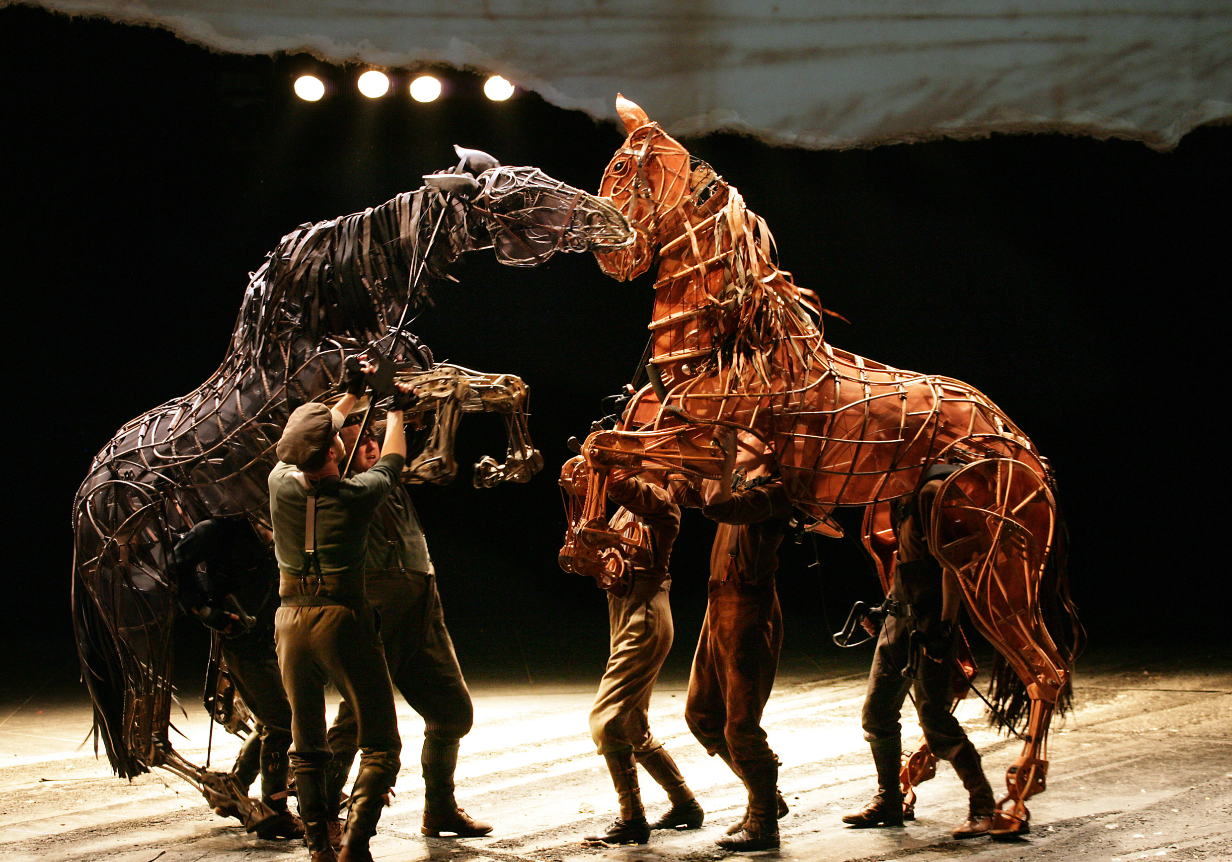 warhorse-regent-theatre-stoke-joey