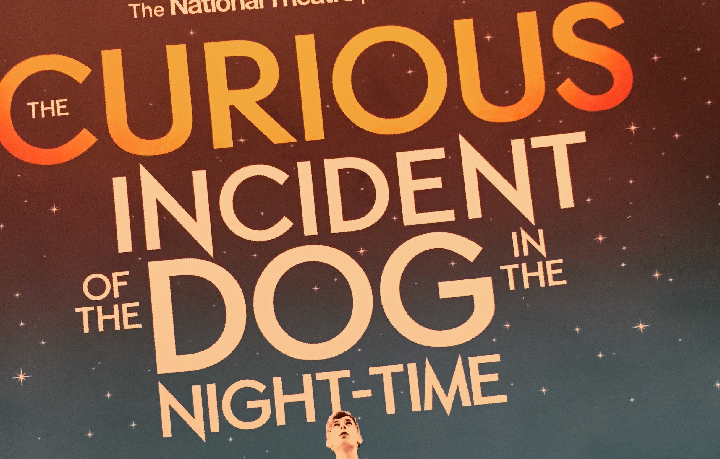 The Curious Incident of the Dog in the Night Time Review